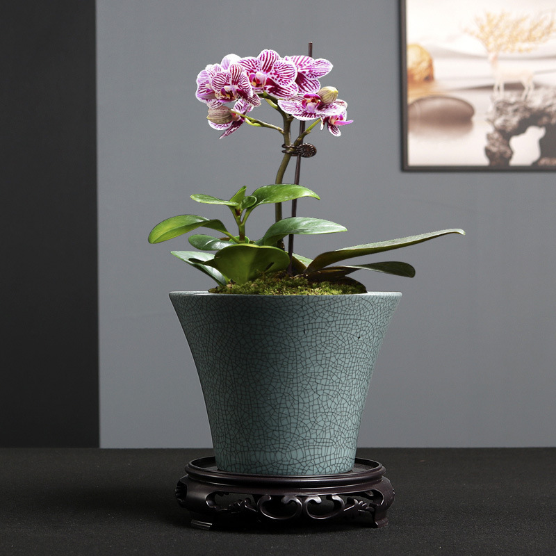Simple Ge kiln ceramic orchid special Basin phalaenopsis container indoor green plant cliff pot old pile floating branch vessel