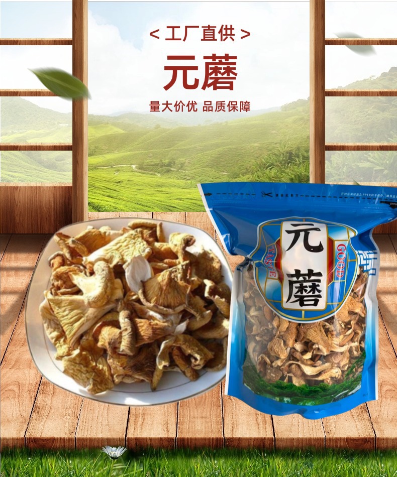 Dried Yuanmo Mushroom Whole Wild Forest Mushroom for Soup and Stew 500g overview