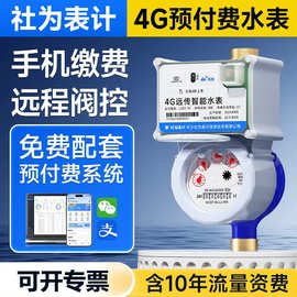 远传智能水表远程阀控抄表预付费水表4G无线远传物联网水表4分6分