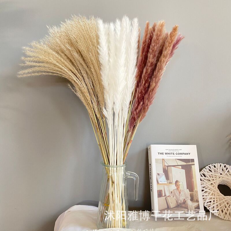 Reed Set Dried Flower Bouquet Nordic Style Decoration Ornaments Flower Arranging Living Room Decoration Amazon Cross-border Supply