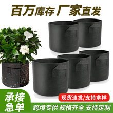 ���Q�羳1-30�Ӂ��R����NֲͰ���ܟo����ë��ֲ�����ɫ��ֲ��