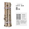 White birch tree rude wood rod landscape tree dead tree tree tree 杈 kindergarten DIY handmade material wall partition decoration