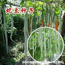 ߶NӴȫLǷN߹zϷNԭbNӴȫll