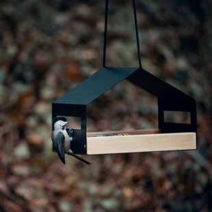 �羳����վCLIPARTO �ֹ��Ғ�ι�B��