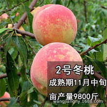 205S \SҘ޽ҘˮҘ箔Y