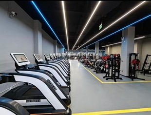 Commercial Treadmill, Home Multi-Functional Luxury Gym, Sports Aerobic Equipment, Mechanical Default Item