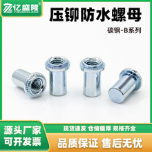 Q235碳钢防水螺母双重密封结构耐水压工业级防水紧固件机箱配件