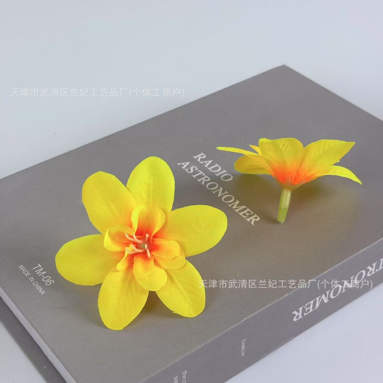 Orquídea de simulación cabeza de comida plato flor de corona de novia flor de pecho flor de muñeca hacer caja de regalo flor de ópera flor de pinza