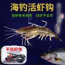 ����h�r���~�r���h���r�h·���|�~ʯ�߷�឴�ឌ���б�ڼ⹴�h�M