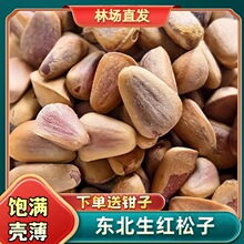 新鲜生松子熟松子东北特产特大东北松子红松子原味开口松子