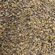 ���lҰ�ջ� Ұ�S�ջ� ��޲���NҎ�� �SͶ�� ������