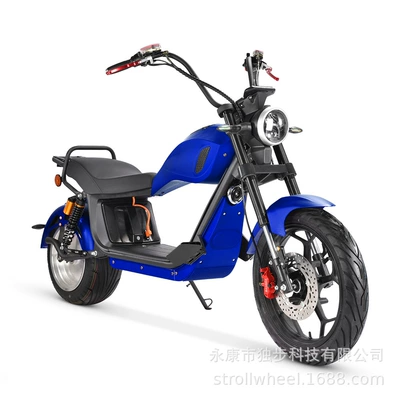 Bikes with Eec Certification, Elektrikli motosikletlər - blue-60v20ah