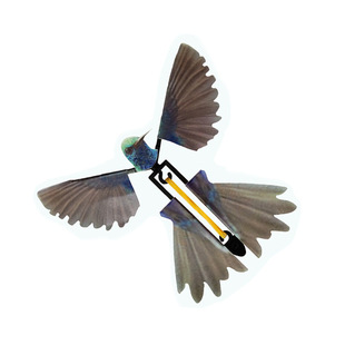 Cross-border flying Hummingbirds magic props creative gifts magic birds magic Hummingbirds