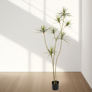 �҃ȷ���ֲ��t߅��Ѫ�䲼���Rβ�F�͏d�٘��k���ҾGֲ�����b�Ʒ