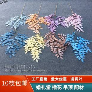 薔薇綠色圖片 海量高清薔薇綠色圖片大全 阿里巴巴