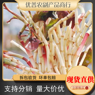 �~�Ȳ��۶���5�����r��ѿ��������F���خa�����Ĵ������Ұ��