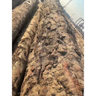 �����ľ С�~�E骽�z� ԭľľ�� �����z�С�~�E�ľ���