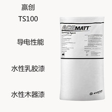 赢创德固赛TS100 消光粉TS100 水性乳胶粉 水性木器漆  导电性能