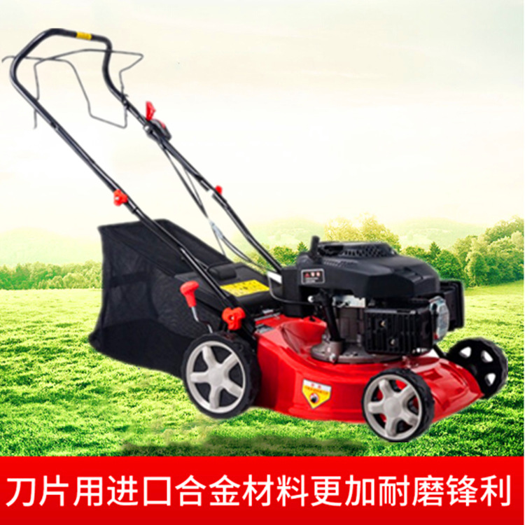 私人别墅花园割草机 草地绿化修剪机 公园草坪手推式修剪机