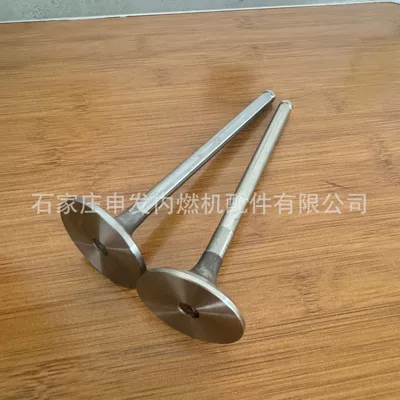 exhaust valve 65041010042 – Valves and components