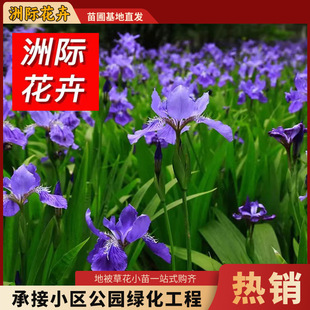 �R�m���� �^�p��ˮ���R�A�绨�� ���lͥԺ�ͺ��ͺ��G�������R�m