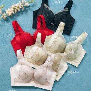 ������2530�o�Ȧ�к�߂ȱ�BC���ո������ؾ۔n�{���͟o�ȹǃ���