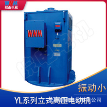 安徽皖南电机马达 YL立式高压电动机三相交流异步厂家直销 IE2IE3