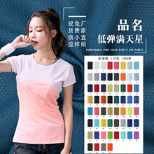 75D小眼网布110g低弹满天星网眼布 全涤运动服校服内衬经编网眼布