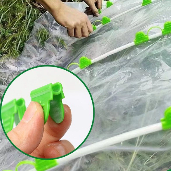 Небольшой арочный сарай садоводческая оранжерея с зажимами бабочки фитинги