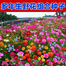 �ļ��������컨�����Ӹ�ɣ����Ұ����ϰ��������׻�ͥԺ��������