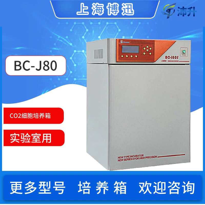 Shanghai Bosun CO2 инкубатор углекислого газа BC-J80 биологическая культура с постоянной температурой клетки водяная рубашка газовый рукав инфракрасный