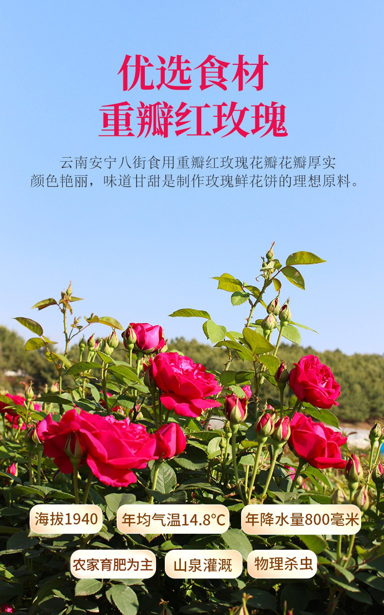 Yunnan Rose Flower Cake Gift Box Set Rose Pastry Purple Sweet Potato Matcha Baked Dessert 256g quality and texture