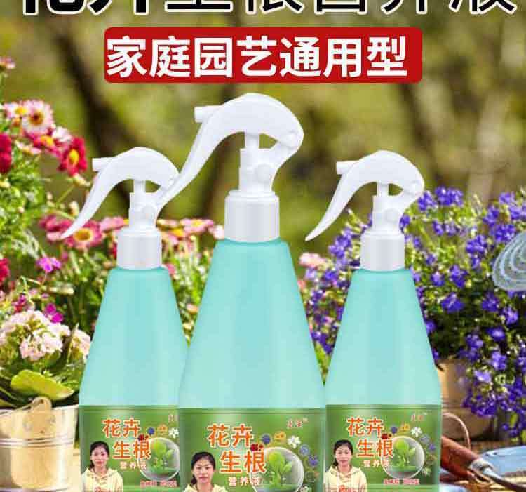 3b43d8a9-aef6-40e9-83b3-a1acf77a4c44.jpe