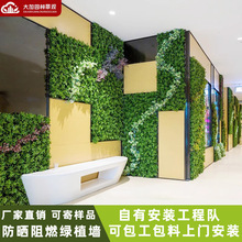 ��ȼ����Gֲ��ֲ����쾰�b�����������ֲ�ﱳ���������ƺ