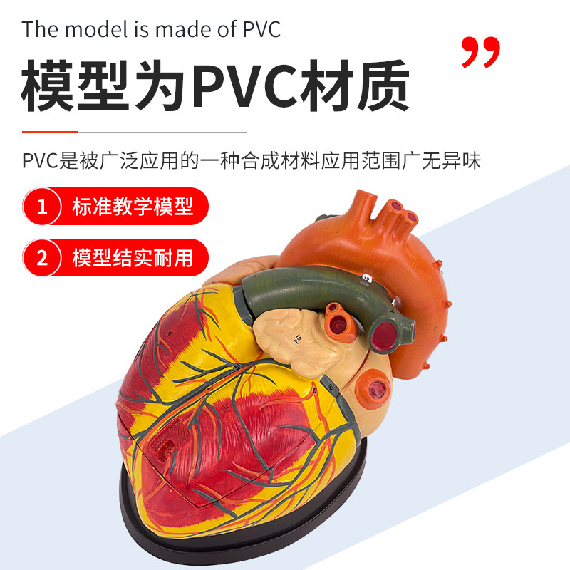 ��ѧ����5���Ŵ�����ģ�����������������걾������������ҽѧ