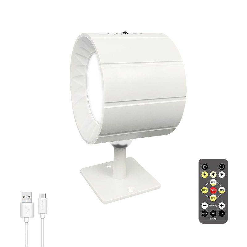 3CCT-white (1 light 1 remote control)