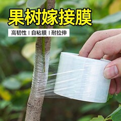 果樹接ぎ木フィルム専用の巻取りフィルムPEは取り外しなしで粘着します。