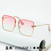 Fashionable sunglasses, 2023 collection, European style