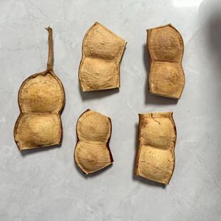 ��Ϙ}�ٴ��v���޶����޶��ֹ�DIY�}�ٶ��v���޲���������ϰ�