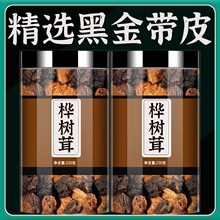 长白山野生桦树茸俄罗斯进口旗舰店正品的功效黑金颗粒白桦树茸茶