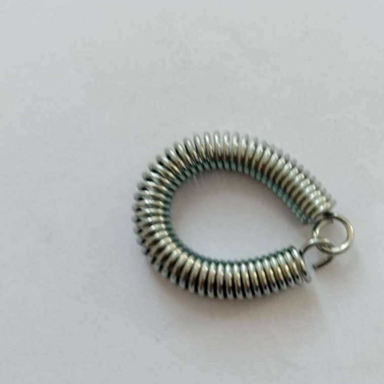 厂家直发304不锈钢弹簧喉箍卡箍专业定 制