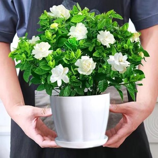 �S�ҳ���ï�_���Gֲ�d�ӻ������҃ȗd�ӻ�ˮ���ļ��S�Ҏ�����