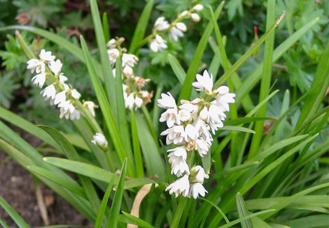 ������Ȼ��������󶬸���ȡ��AD-RESYL