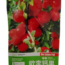 ���x���N�}���N�ӚW���}���N�Ѻ˹���������@�ֲ̨��