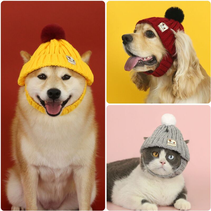 宠物新年针织毛线帽小灵缇短毛无毛猫咪小狗犬保暖冬季露耳朵头套|undefined