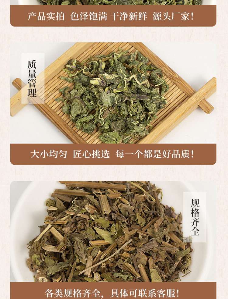 Dried Mint Leaves Bo He Ye 500g Loose Herbal Tea Fresh Aroma for Daily Infusions specifications