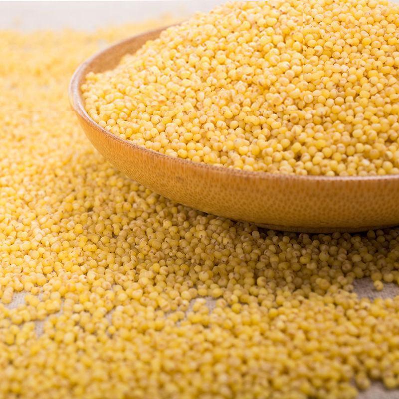 North Shu Mi Glutinous Millet 北秫米 Dried Grain for Congee and Herbal Decoctions 500g specifications