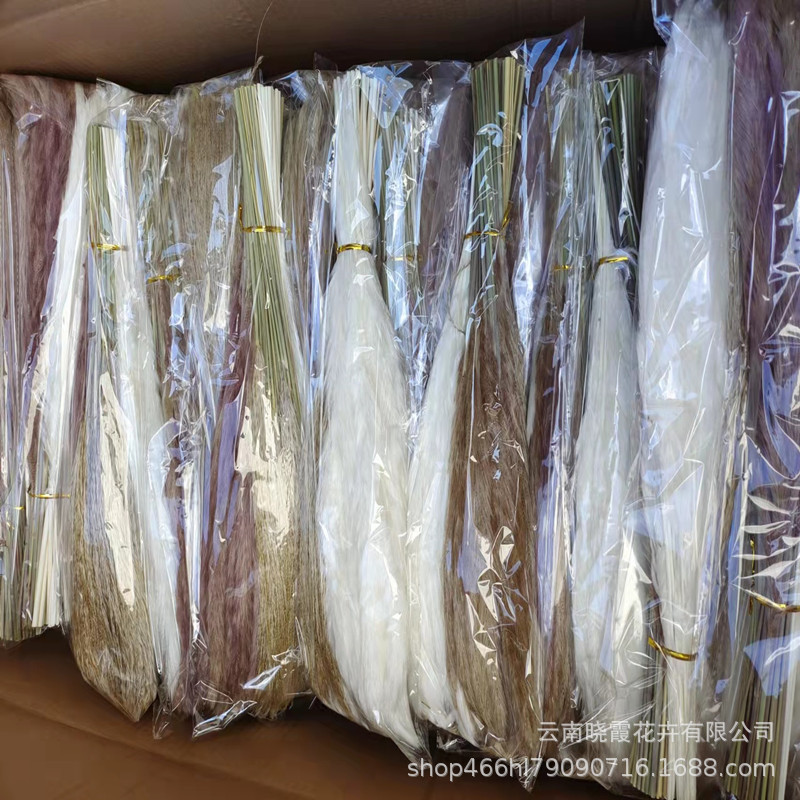 b68994c4c8c050f42d4fb56bcd11de