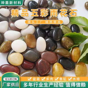�껨ʯ�Z��ʯ䁵�ͥԺ�쾰�~���b�ɫ���ʯ�^