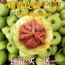 ���Ǫ{���^����y���ñ��Ƥ�������ـ��Ƥ���ܳ���������